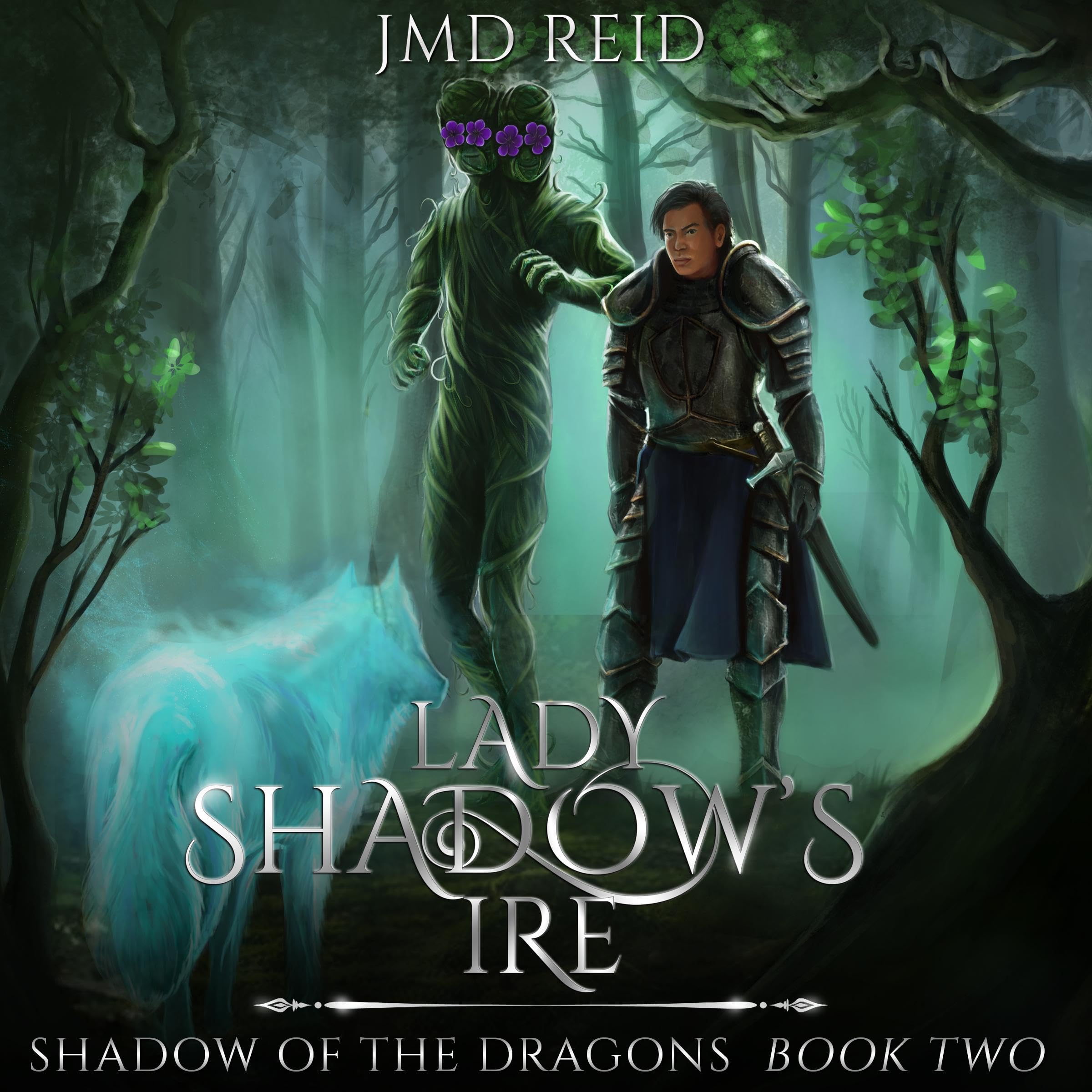 Cover art for Lady Shadow's Ire