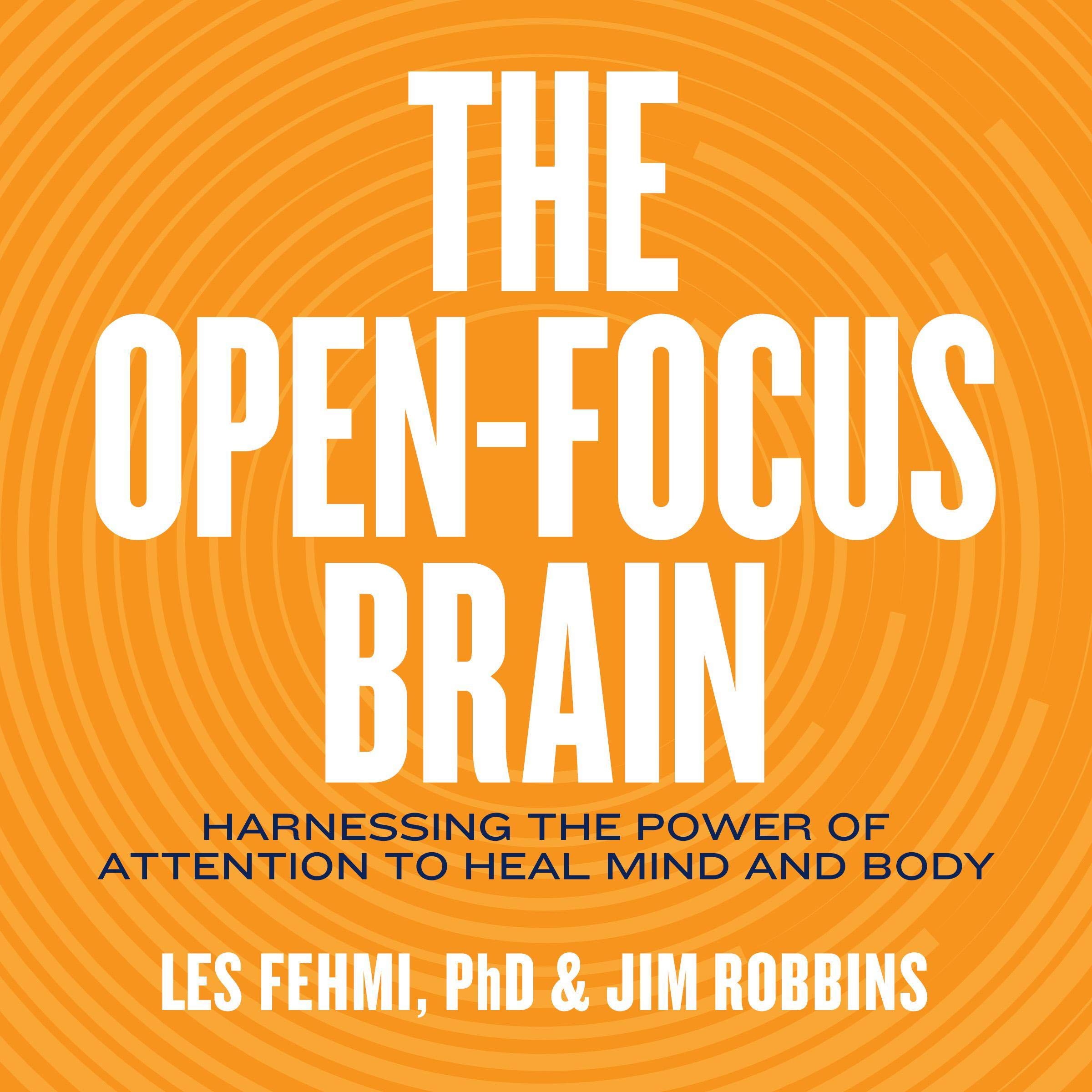 Cover art for The Open-Focus Brain