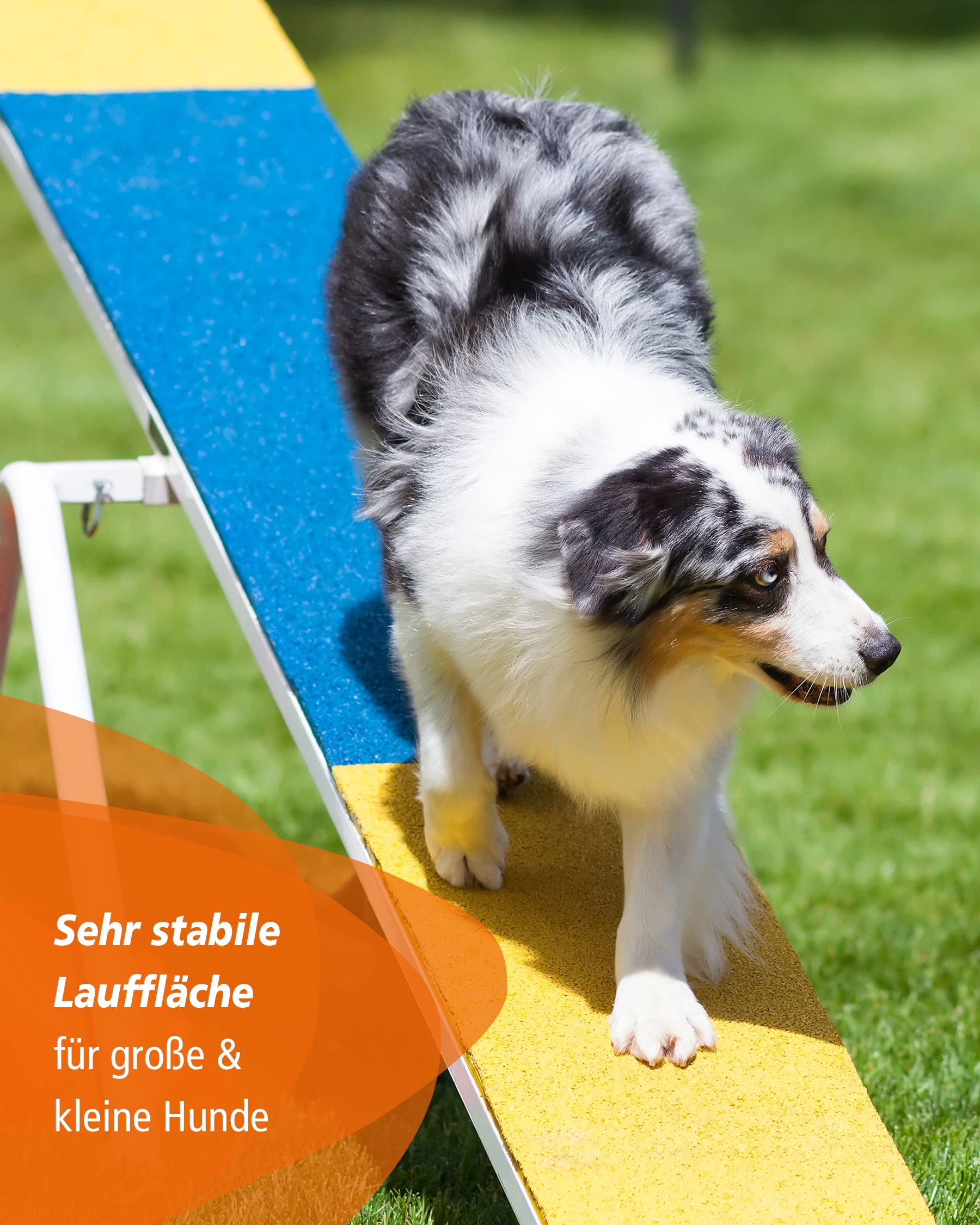 Huśtawka Agility – zgodna z FCI – z gumowaną powierzchnią bieżną i regulacją wysokości – do bezpiecznego treningu psów i turniejów