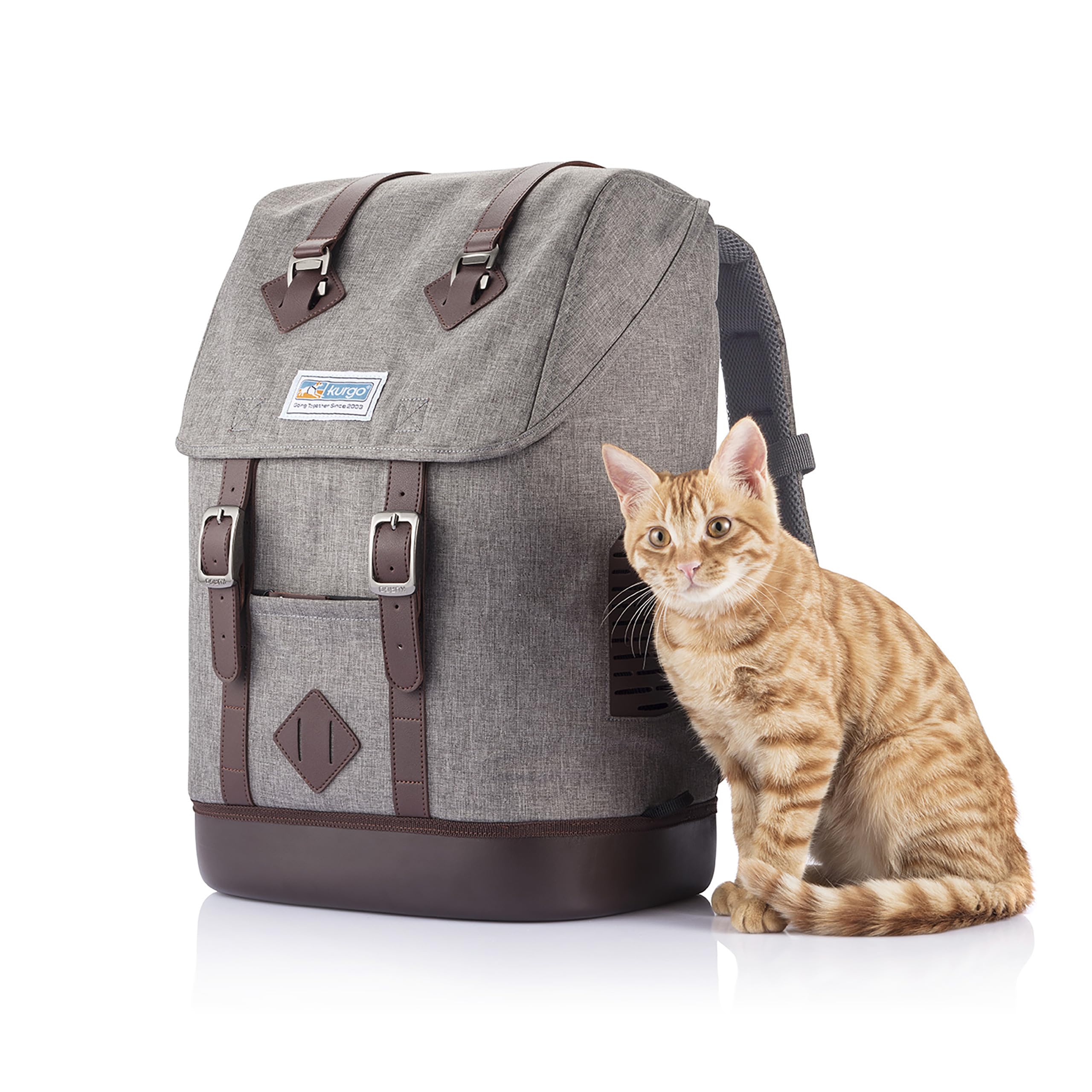 Kurgo Mochila Transportín para Mascotas Pequeñas | Manos Libres, Base Armorsole, Convertible en Transportín, Tela Resistente
