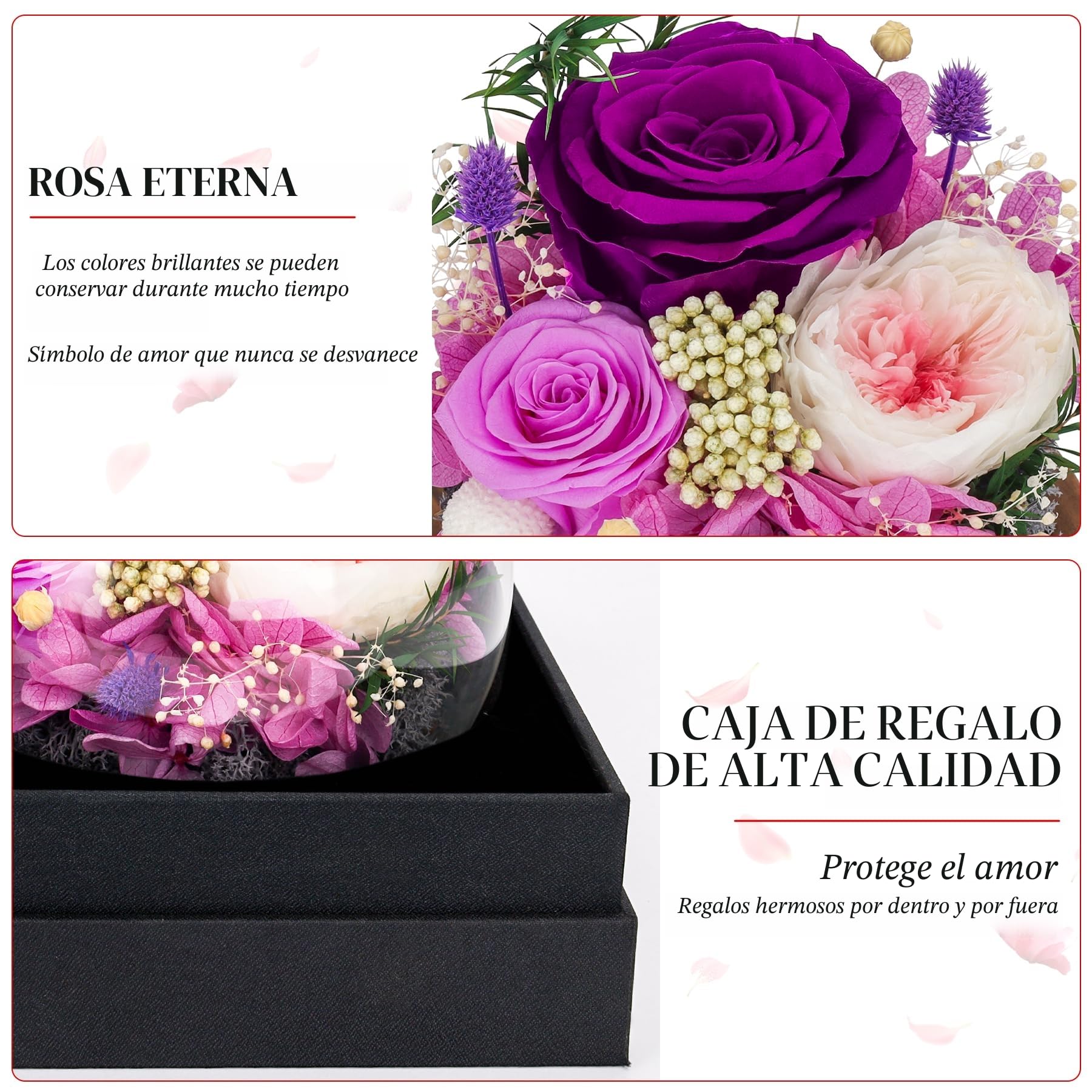 CSYY Rosa Eterna LED Luces Infinito Flor Preservada Bola de Cristal Vidrio Morado y Austin con Hortensias y Flores de Arroz para Mujeres Mamá Novia Esposa Día de Cumpleaños Púrpura