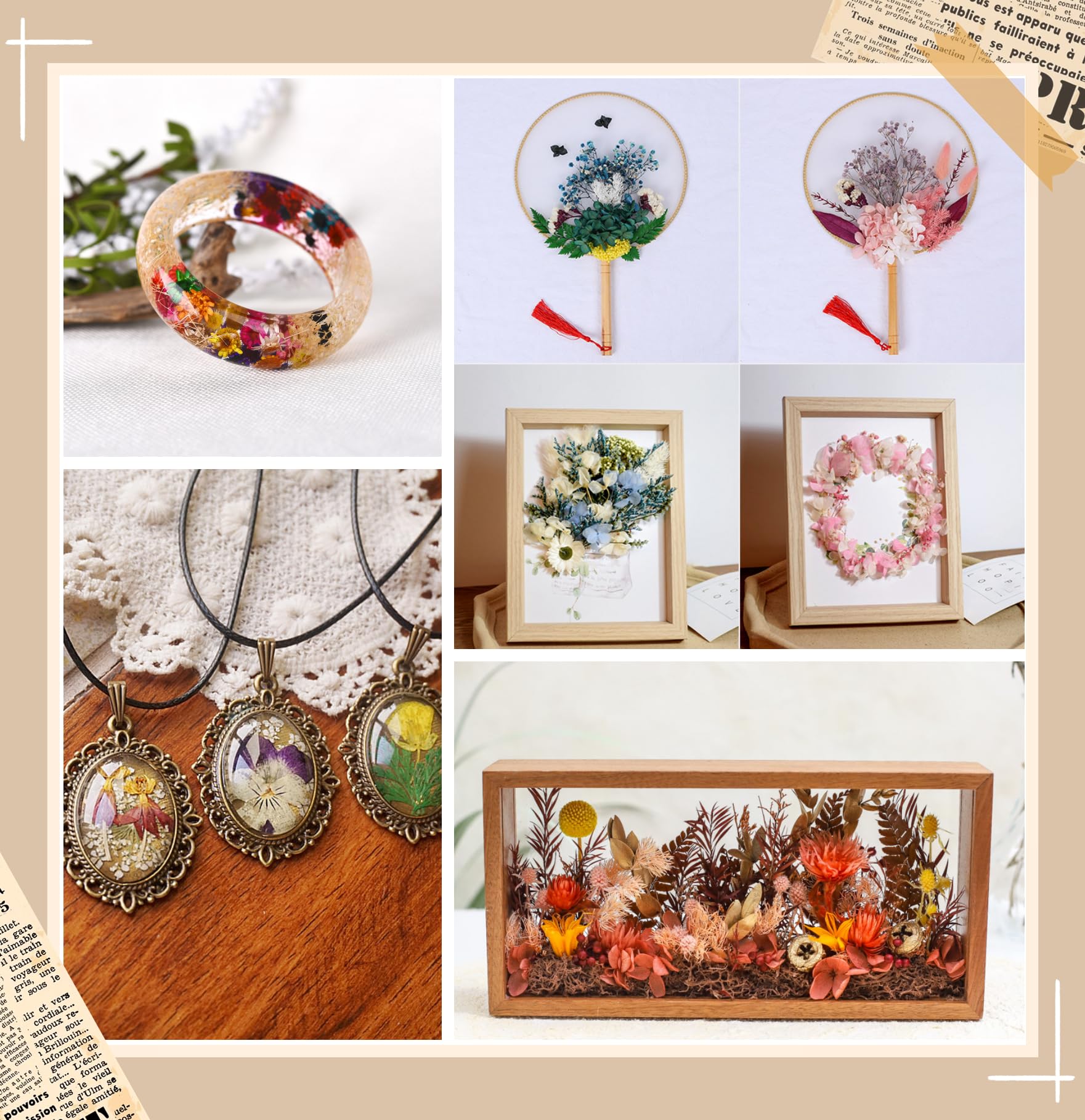 Set Di Fiori Secchi Naturali Per Decorazioni Fai Da Te - Fiori Pressati Multicolore Con Pinzetta