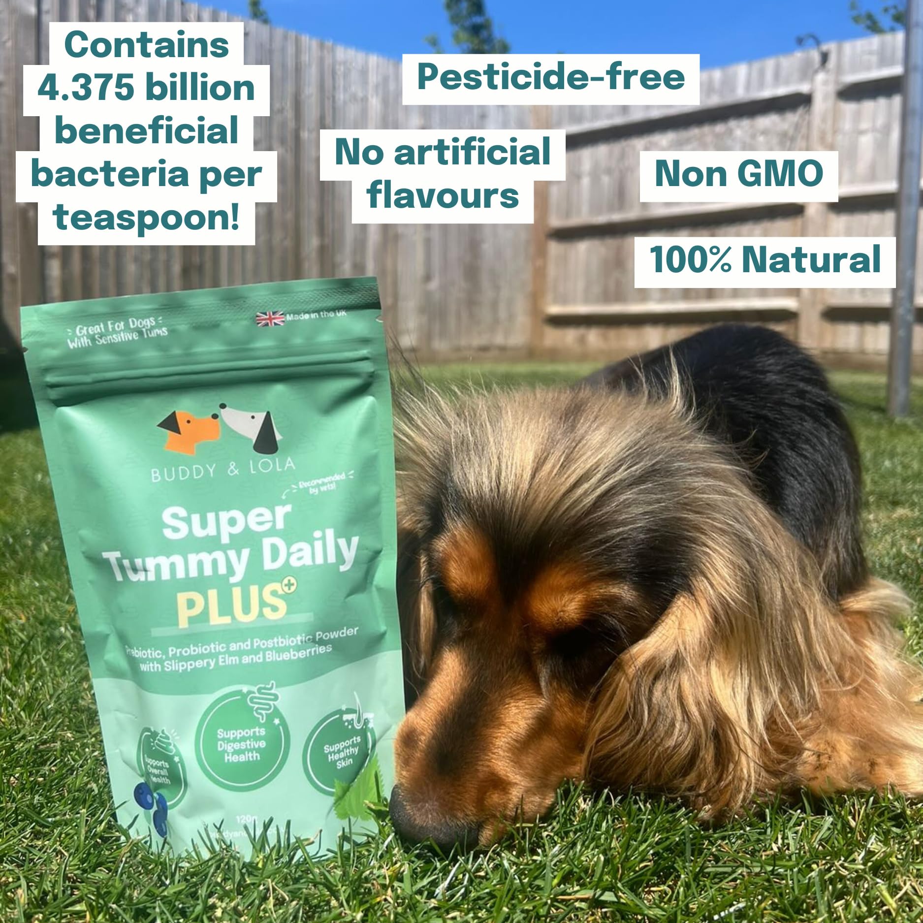 Buddy & Lola Super Tummy Daily Plus, Plain, 120g Pouch - Image 4