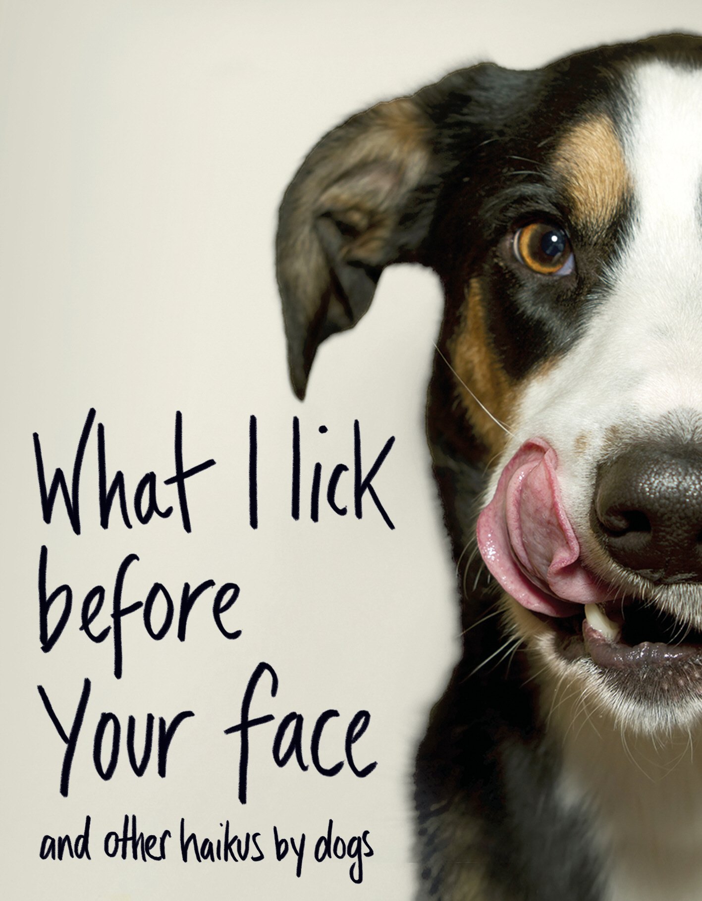 Why Do Dogs Licks Your Face