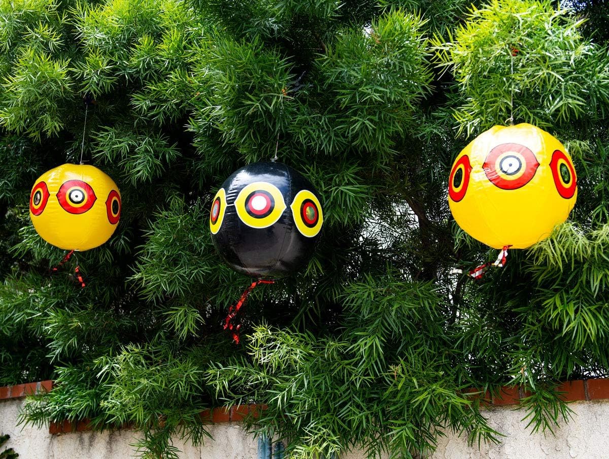 Ballon Anti-Oiseaux avec Yeux, Lot de 3, Répulsif pour Pigeons avec Corde, 3 Couleurs