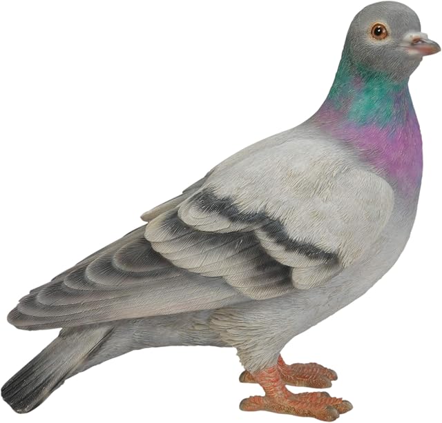 Vivid Arts- British Birds- Realistic Resin Pigeon Ornament