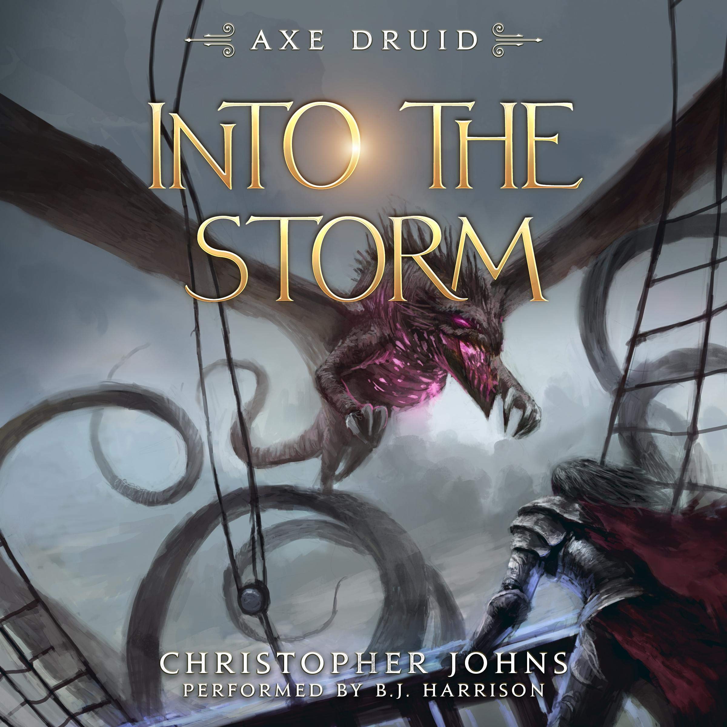 Cover art for Into the Storm: Axe Druid, Book 5