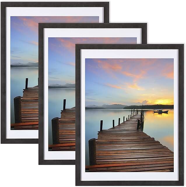 picture frames 11x16