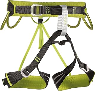 CAMP - Alpine Flash