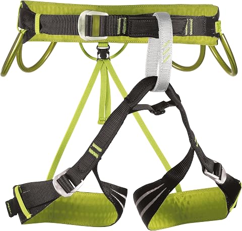 CAMP - Alpine Flash