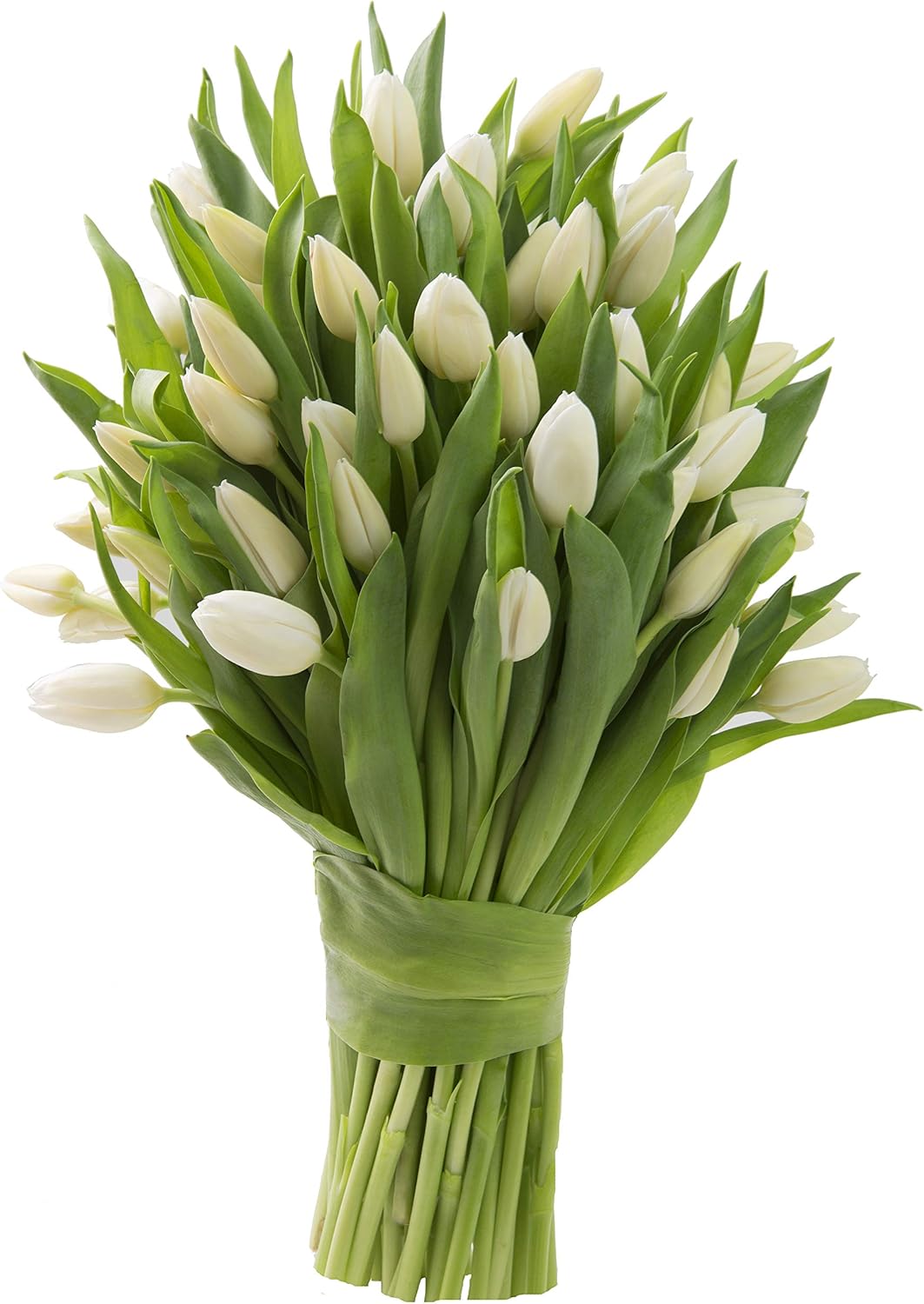 Blooms2Door - 50 White Tulips (Cut-to-Order and Homegrown in the USA) - Fresh Flowers for Birthday, Valentine's & Mother's Day