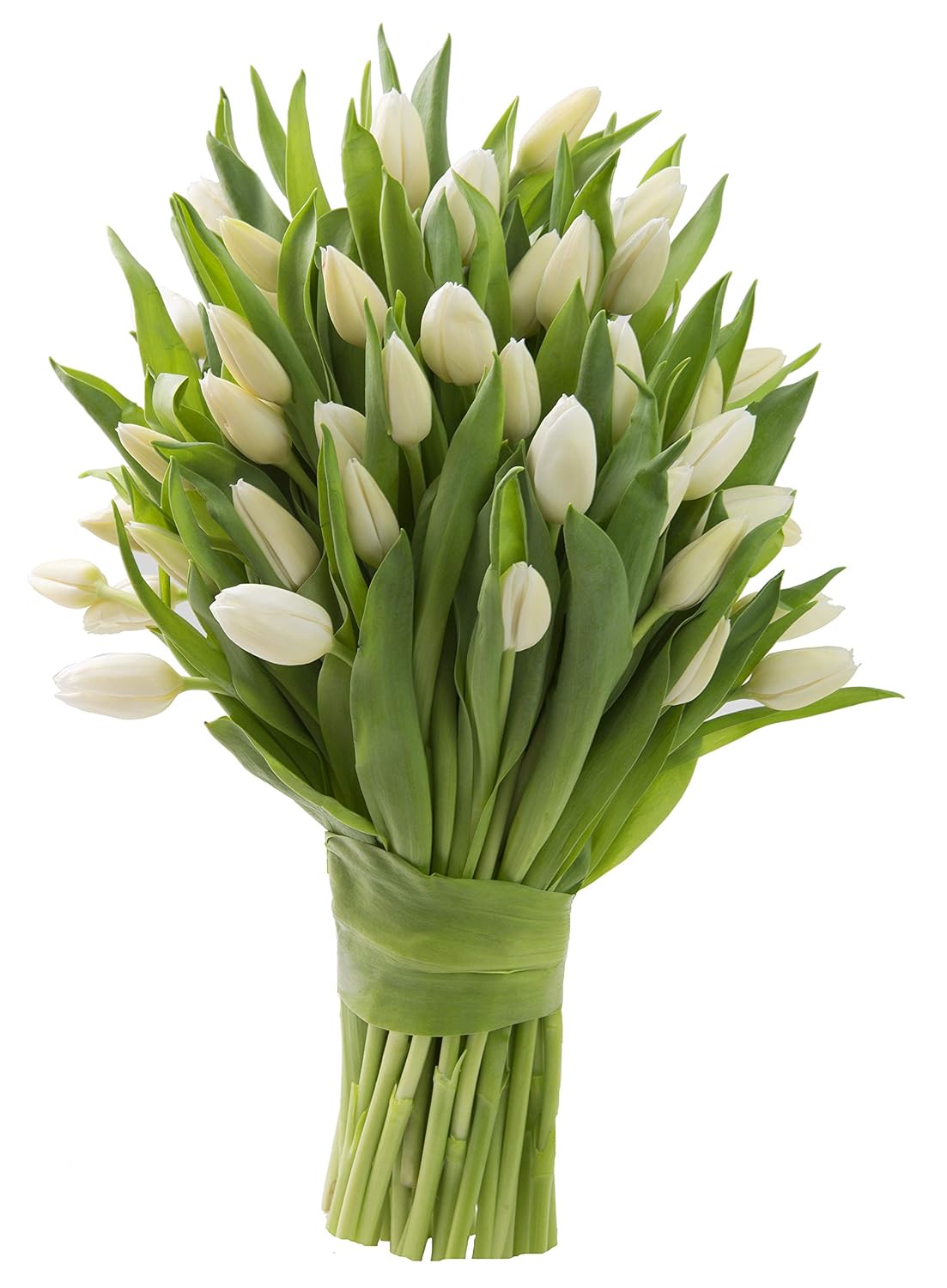 KaBloom - 50 White Tulips (Farm-Fresh, Cut-to-Order and Homegrown in the USA) - Fresh Flowers for Birthday, Valentine's & Mother's Day