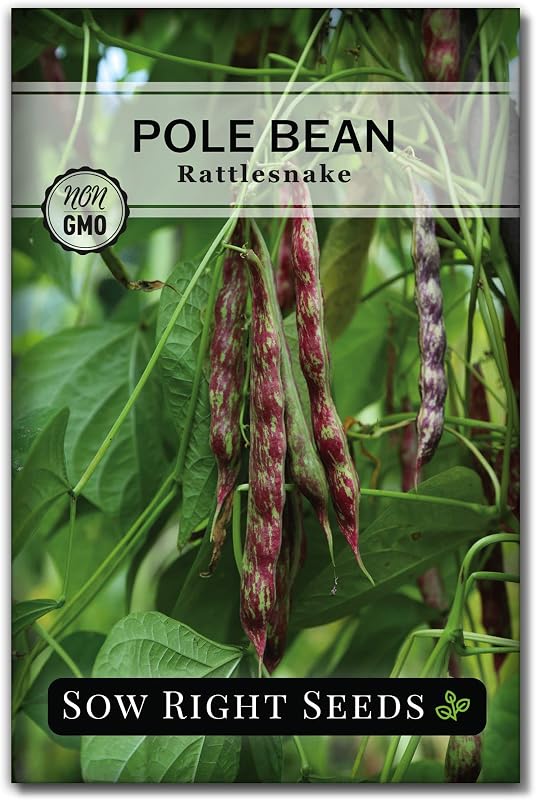 Sow Right Seeds - Semilla de frijol de serpiente de cascabel para plantar huertos | Plante una variedad tradicional fresca, sin hilos y sin OGM, para jardinería doméstica al aire libre. Enredaderas de verduras para cultivar hortalizas en el exterior.