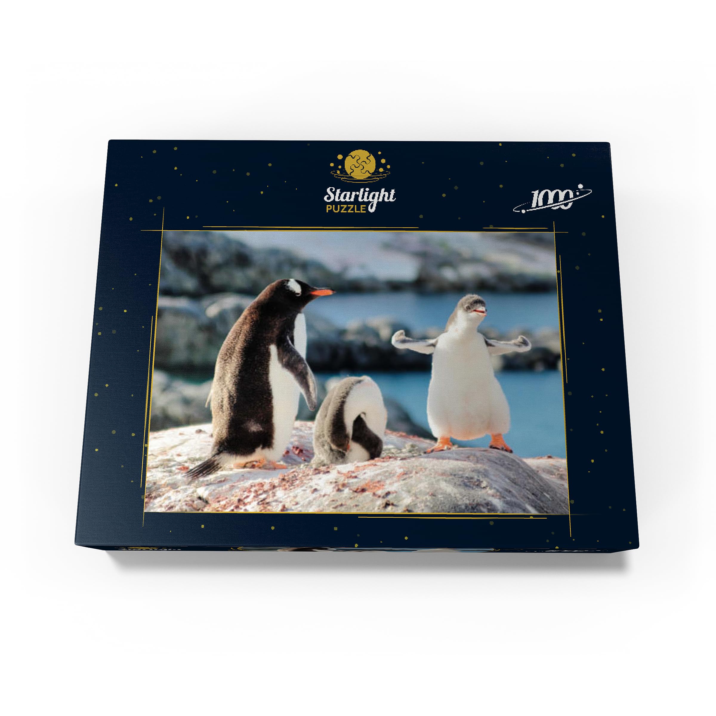 Amazon | Strongster Gentoo Penguin かわいい 面白い 赤ちゃん ひよこ