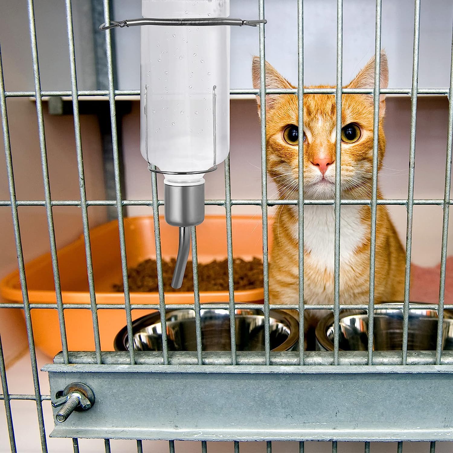 Meiso 2 piezas Biberón Conejo, Colgantes Conejito Deau Distribuidor, 350 ML Biberón Cerdo Pavo con Soporte, Colgante de Agua Botella para Bebedero Roedor, Gatitos, Perros, Condones de Indias, Hamsters
