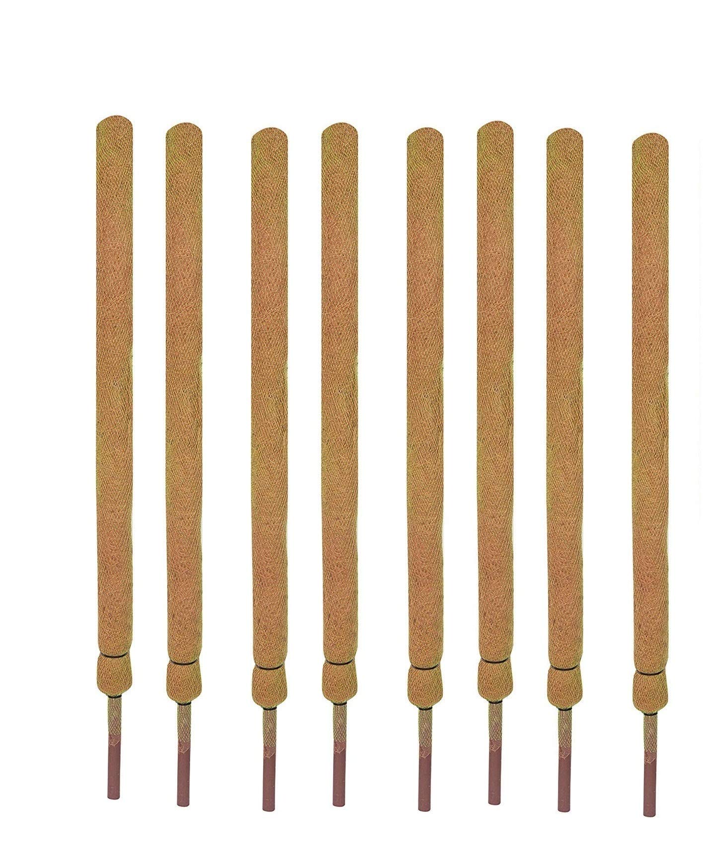 COIR GARDEN Moss Coir Plant Support Stick - Coco Pole 4 feet (121 cm) Length - 8 Pieces (B07BQDTFB8) Amazon Price History, Amazon Price Tracker