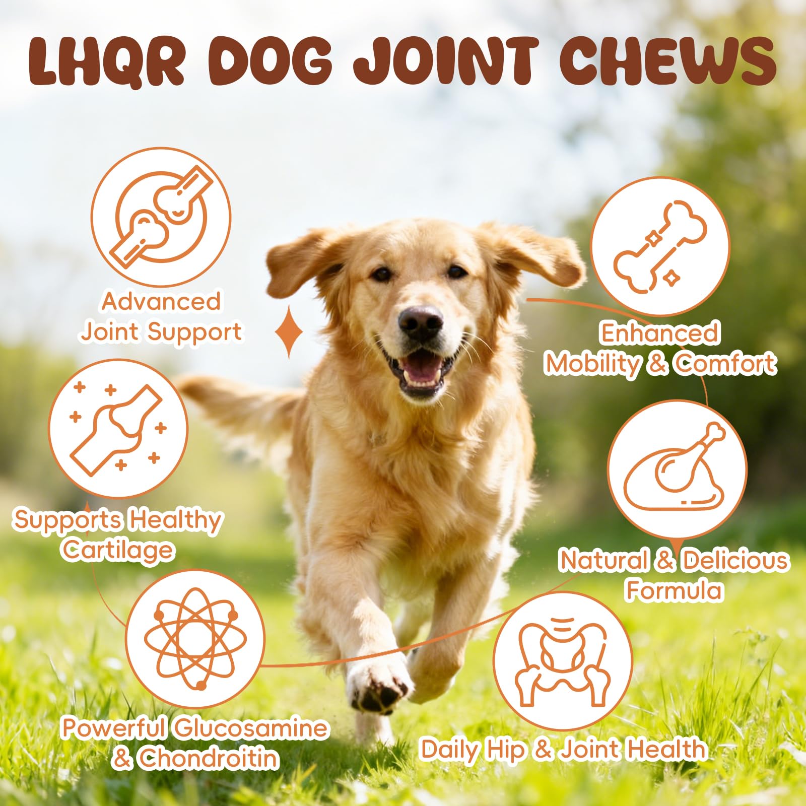 Glucosamine for Dogs Hip and Joint Supplement 200 PCS Glucosamine Chondroitin MSM for Dogs Hip & Joint Pain Relief Mobility Support for All Small Medium Large Breeds Chicken Flavor - image 2