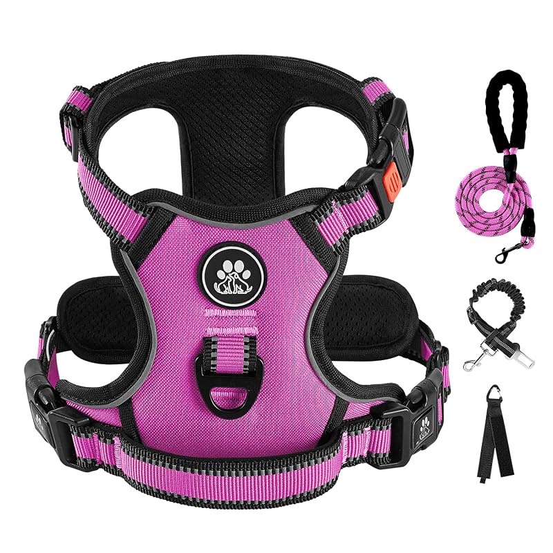 Peitoral vest para cães médios IVY&LANE em nylon com faixas refletivas Fuchsia Pink, Medium