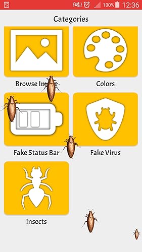 Screen Pranks