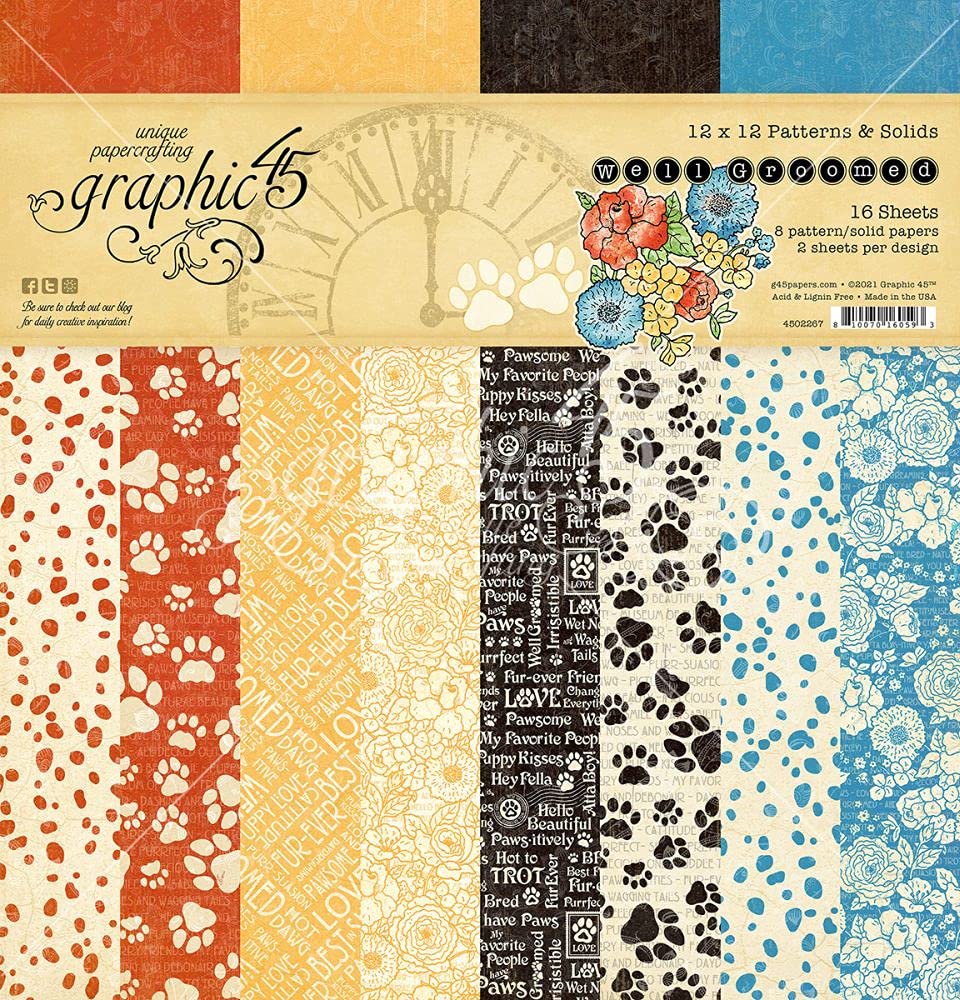 Graphic 45 12x12 Inch Patterns & Solids Paper Pad Well Groomed