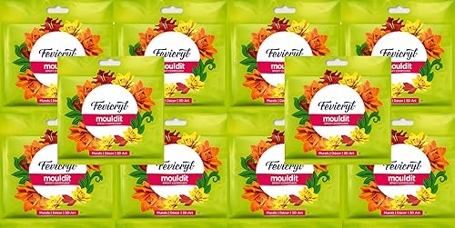 Molde Fevicryl de 10 piezas de arcilla de 50 grm para modelar y esculpir, arcilla seca al aire para hacer bricolaje 3D, dibujo, arte y manualidades,