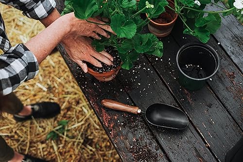 Vista 23 de Barebones Triangle Hoe - Cuchilla de acero inoxidable, herramientas de jardinería japonesas para deshierbar mango largo y azada de mano (Ash/Mint)