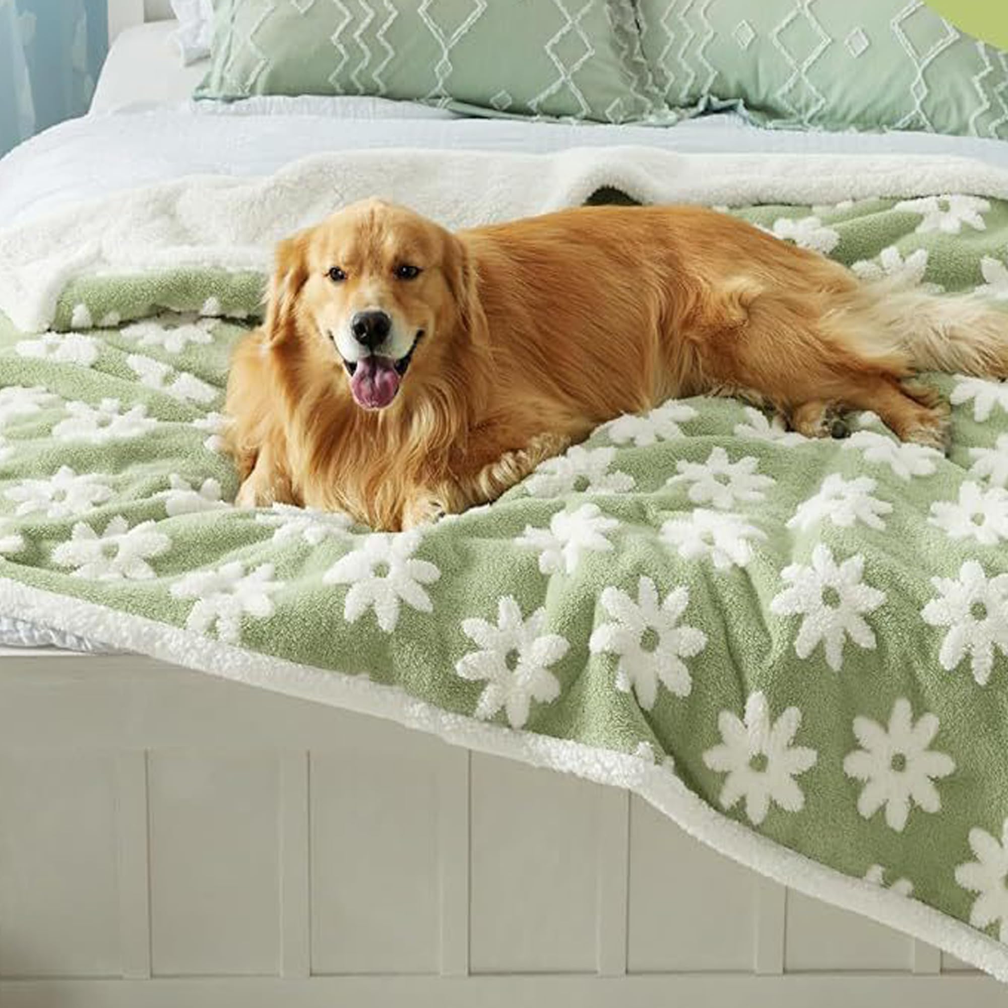 Manta grande para perros, manta para mascotas para perros y gatos, manta para mascotas, mantas esponjosas para gatos, cachorros, mantas para proteger la cama y el sofá (165 x 145 cm, estilo 1)