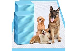 XXXL Puppy Pee Pads for Dogs Large