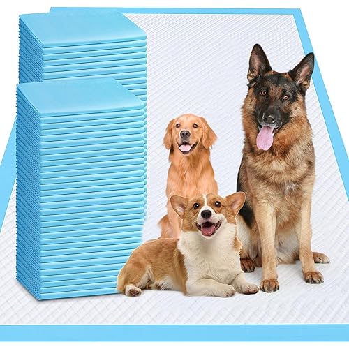 XXXL Puppy Pee Pads for Dogs 31"x47" 40 Count, Extra Large Dog Pee Pads, Leak-Proof & Super Absorbent Dog Pee Pads, Thicken Disposable Potty Pads Puppy Training Pads for Cats Rabbits