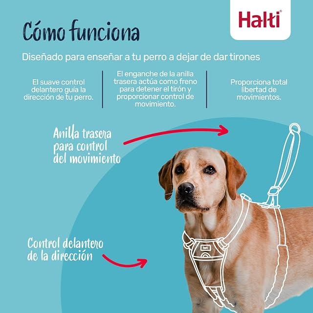 Foto 2 de 6 de Arnés para Perros antitirones Halti - Tamaño L, Nogal Intenso