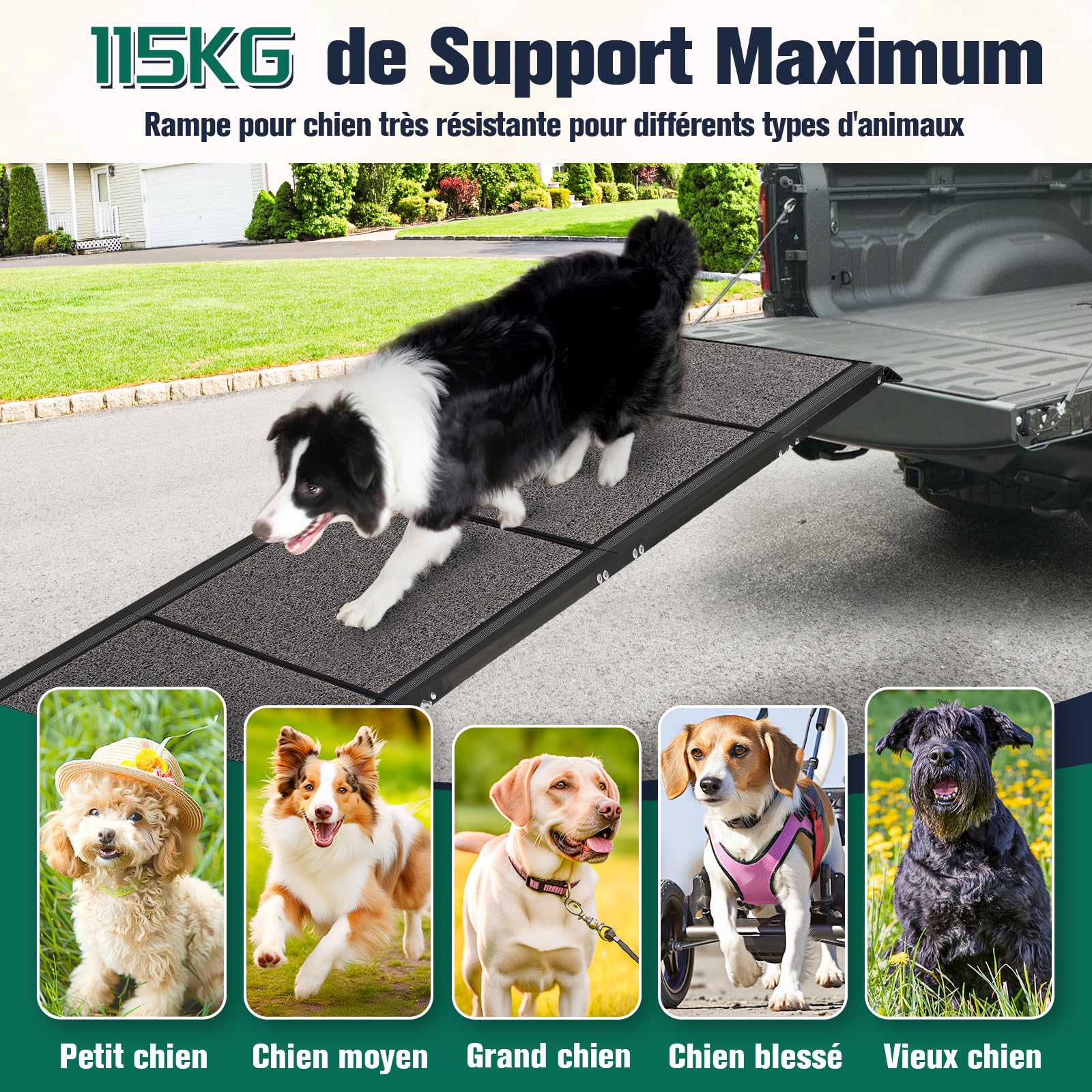Rampe pour Chien Voiture Pliable Extra Longue 175cm, Rampes D'Accès Voiture pour Chien avec Surface Antidérapante, Échelle De Voiture Pliante Escalier pour Grands Chiens, Supporter Un Poids De 115kg