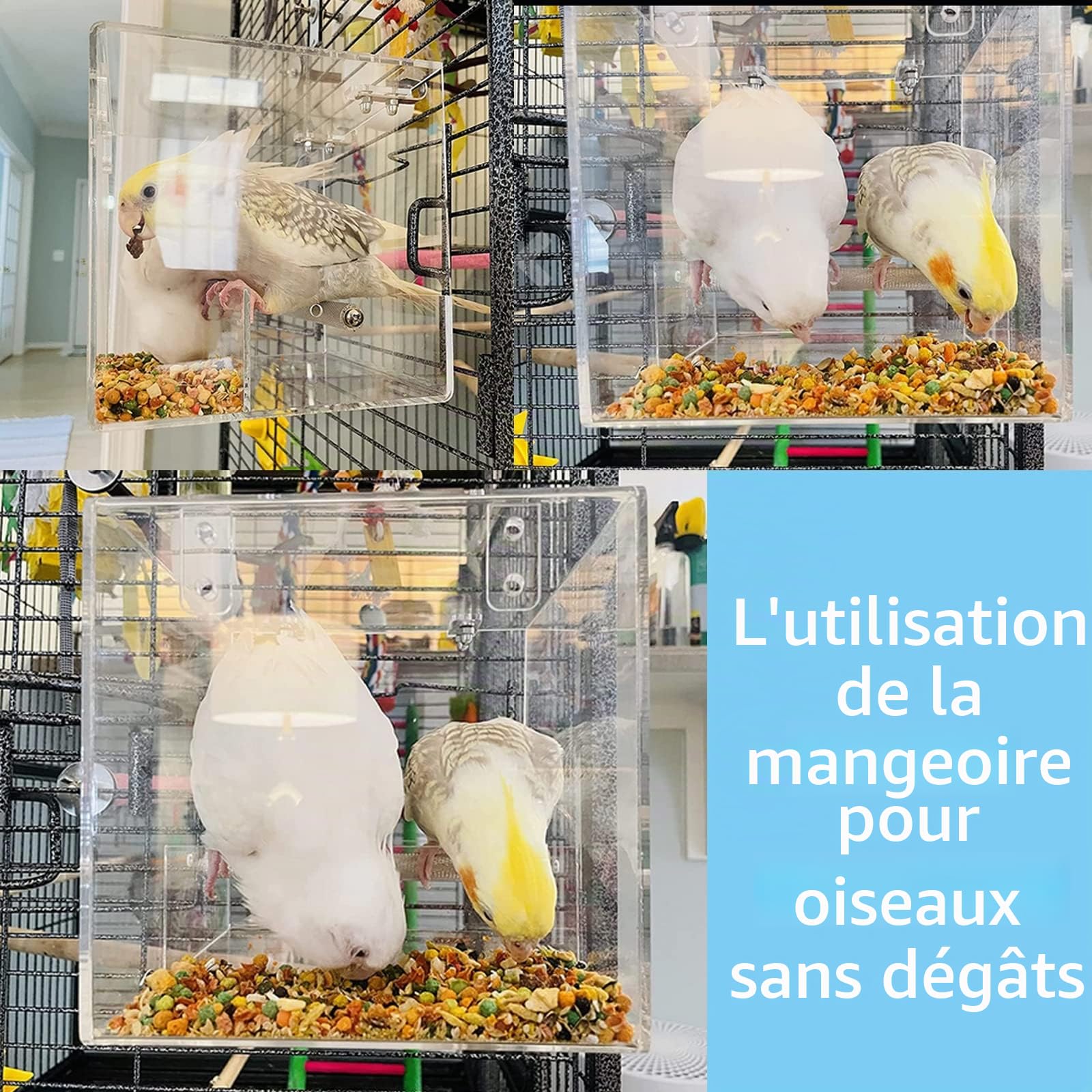 Mangeoire à Oiseaux sans désordre, récipient Automatique à graines pour Cage, Acrylique, Convient pour Les Oiseaux de Petite et Moyenne Taille