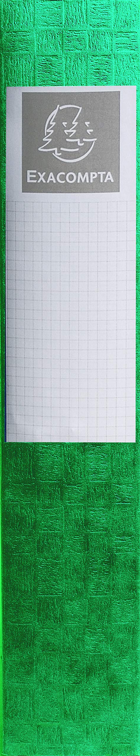 Exacompta 10 scatole archivio Scotten A4 dorso 6 cm verde