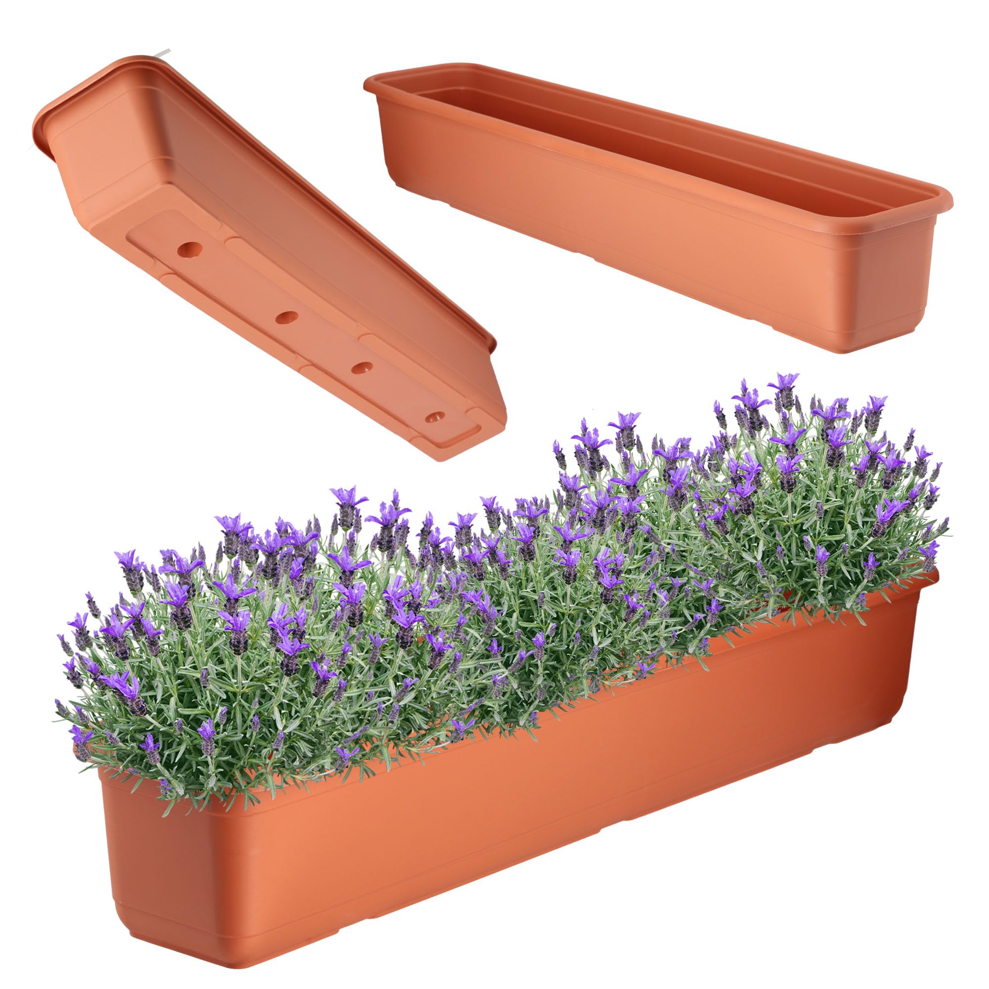 ADXCO Confezione Da 12 Fioriere In Plastica Multicolori Con Vassoio: Vasi Da 10 Cm Per Piante Grasse E Fiori - 5