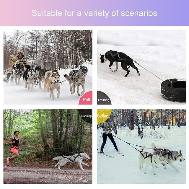 Foto 7 de 7 de Fairnull Arneses Halter para Perros, arnés Reflectante de Trineo para Perros, arnés Ajustable para Cachorros