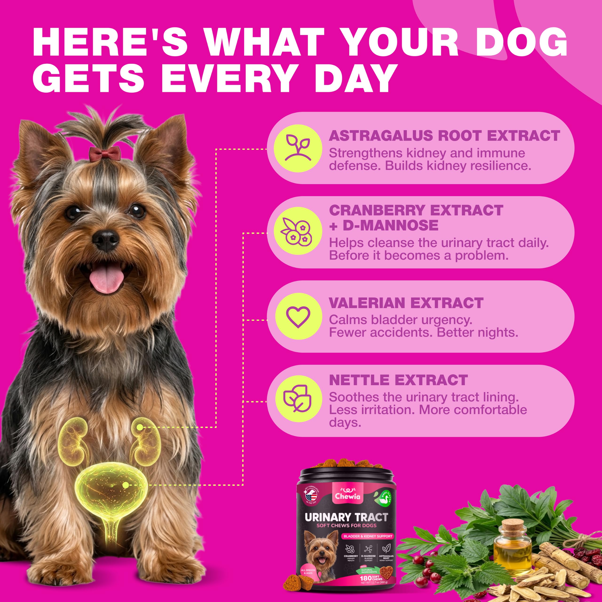 Dog UTI Treatment Cranberry Chews – Bladder Control & Urinary Tract Support — Amazon image 5