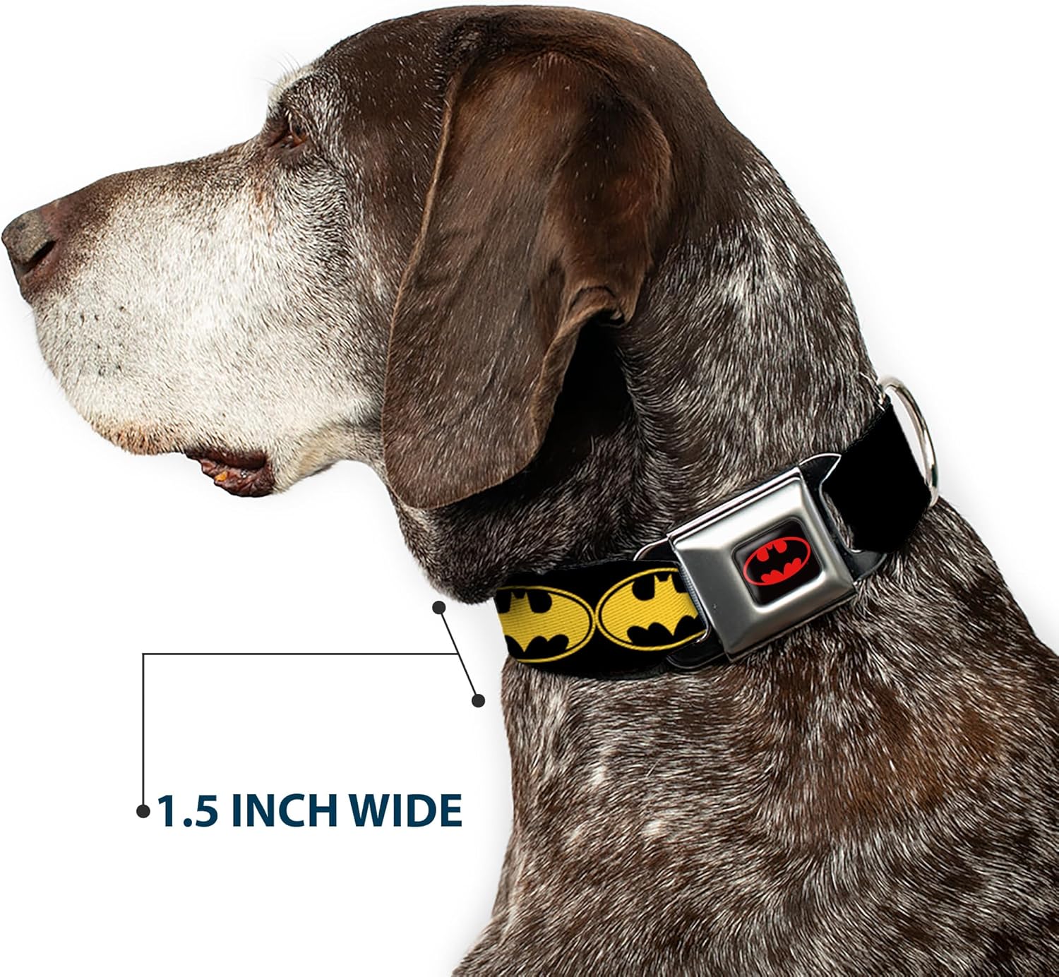 Buckle-Down Seatbelt Buckle Dog Collar - Bat Signal-3 Black/Yellow/Black - 1" Wide - Fits 11-17" Neck - Medium