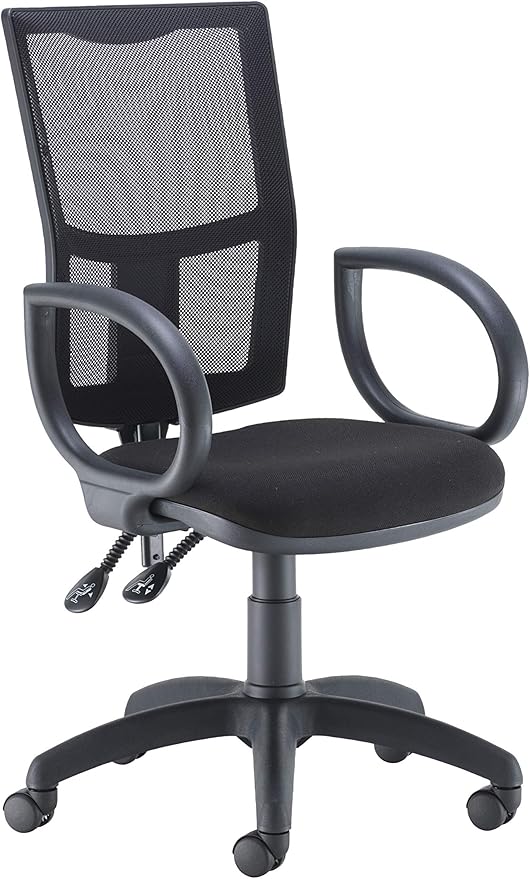 Office Hippo Mesh Back Desk Chair, Ergonomic Home & Office Chair With