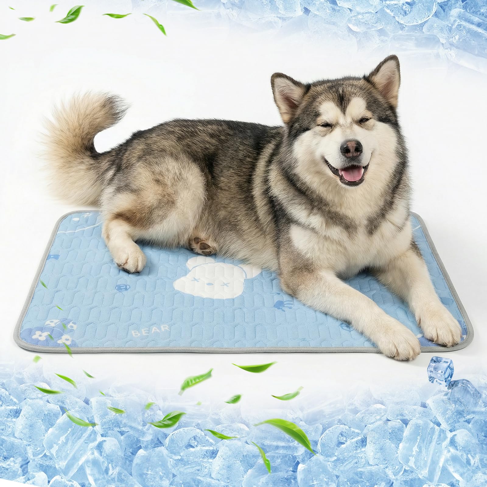 Qoosea Alfombra Refrescante para Perros 50x70cm, Lavable a Máquina - Diseño Osito Azul, Colchón en Tela de Seda Helada & Relleno de Látex, con Puntos Antideslizantes, para Casa y Coche