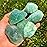 Zenkeeper 1Lb Green Fluorite Crystal Rocks Raw Stones for Tumbling, Green Natural Fluorite Crystals Bulk Rough Gemstone for Jewelry Making, Healing, Meditation, Sculpture