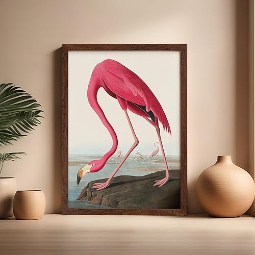 Miniatura 482 de Poster Master Póster vintage de flamenco americano, estampado retro de flamenco rosa, arte de pájaro, regalo para él, ella, amante de los animales,