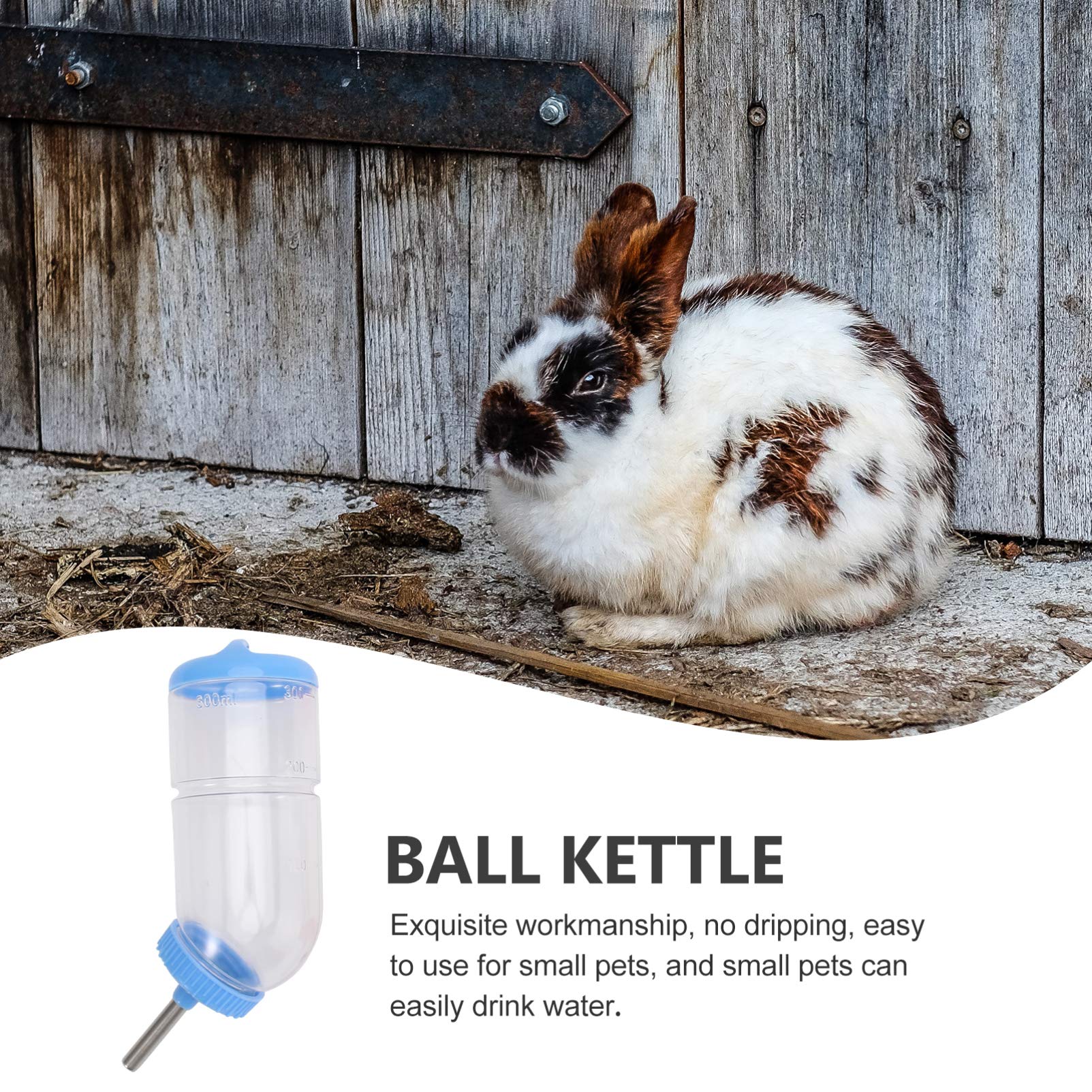 BESPORTBLE 6pièces Fontaine à Eau pour Rongeurs Bouteille Eau Étanche pour Animaux De Compagnie pour Cochons Et Chinchillas