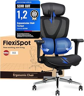 FLEXISPOT Ergonomischer Bürostuhl mit Dual Wing Lendenstütze, 3D-Kopfstütze & Armlehnen, Verstellbarer Sitztiefe, Rückenlehne & Neigung Arbeitsstuhl für Büro & Home Office (Schwarz)