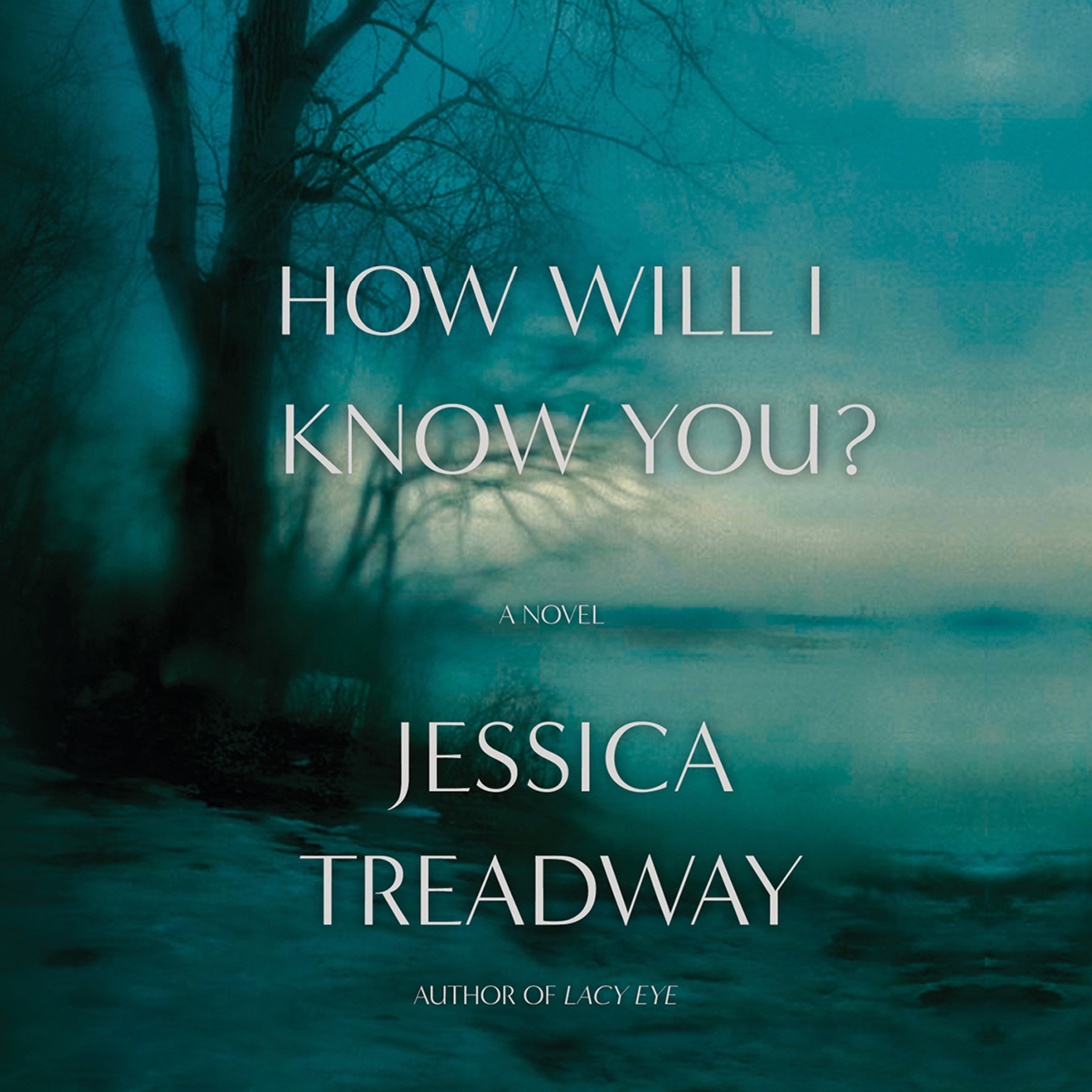 Cover art for How Will I Know You?