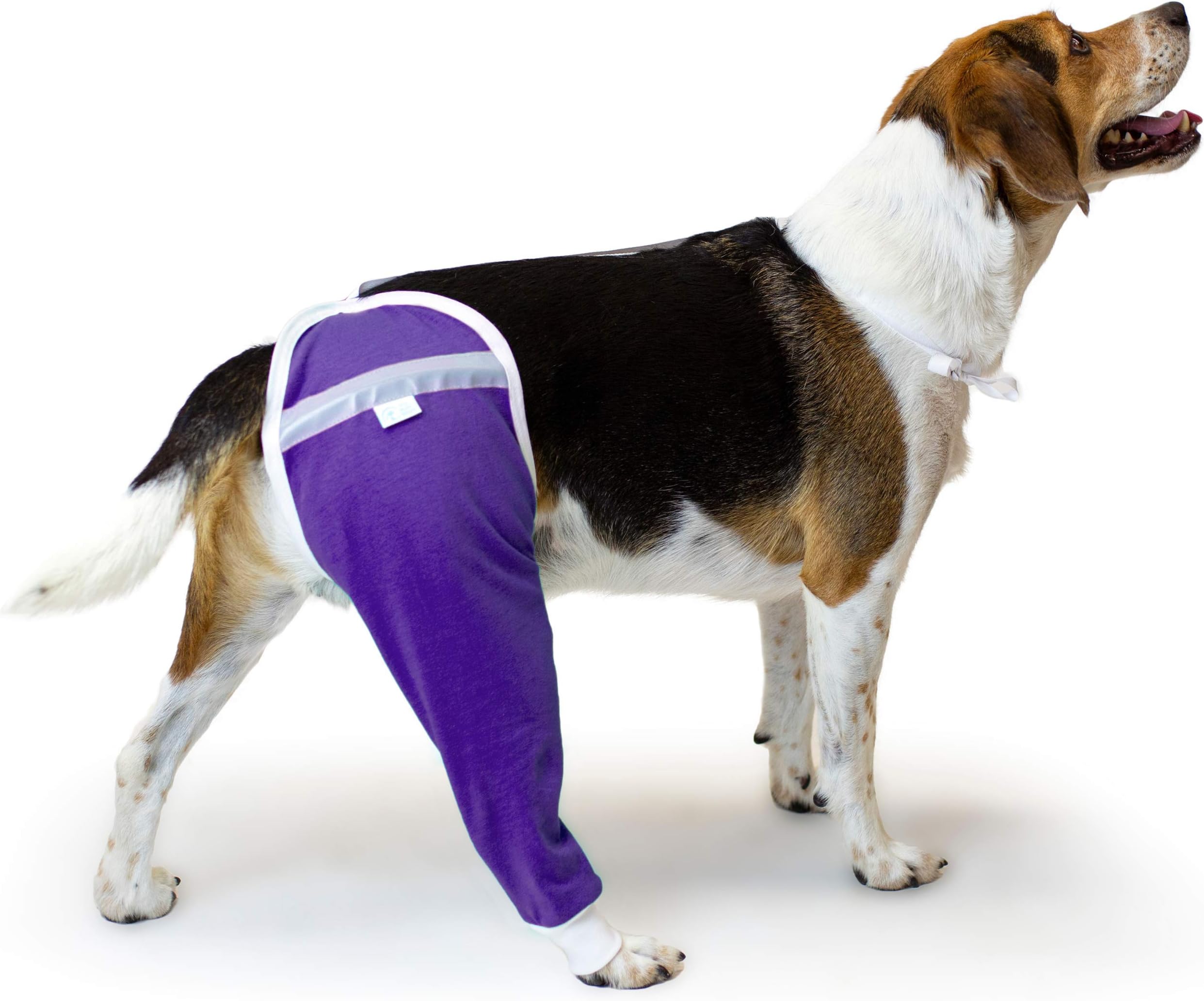 After Surgery Wear Hip and Thigh Wound Protective Sleeve for Dogs. Dog Recovery Sleeve. Recommended by Vets Worldwide (Medium, Purple)