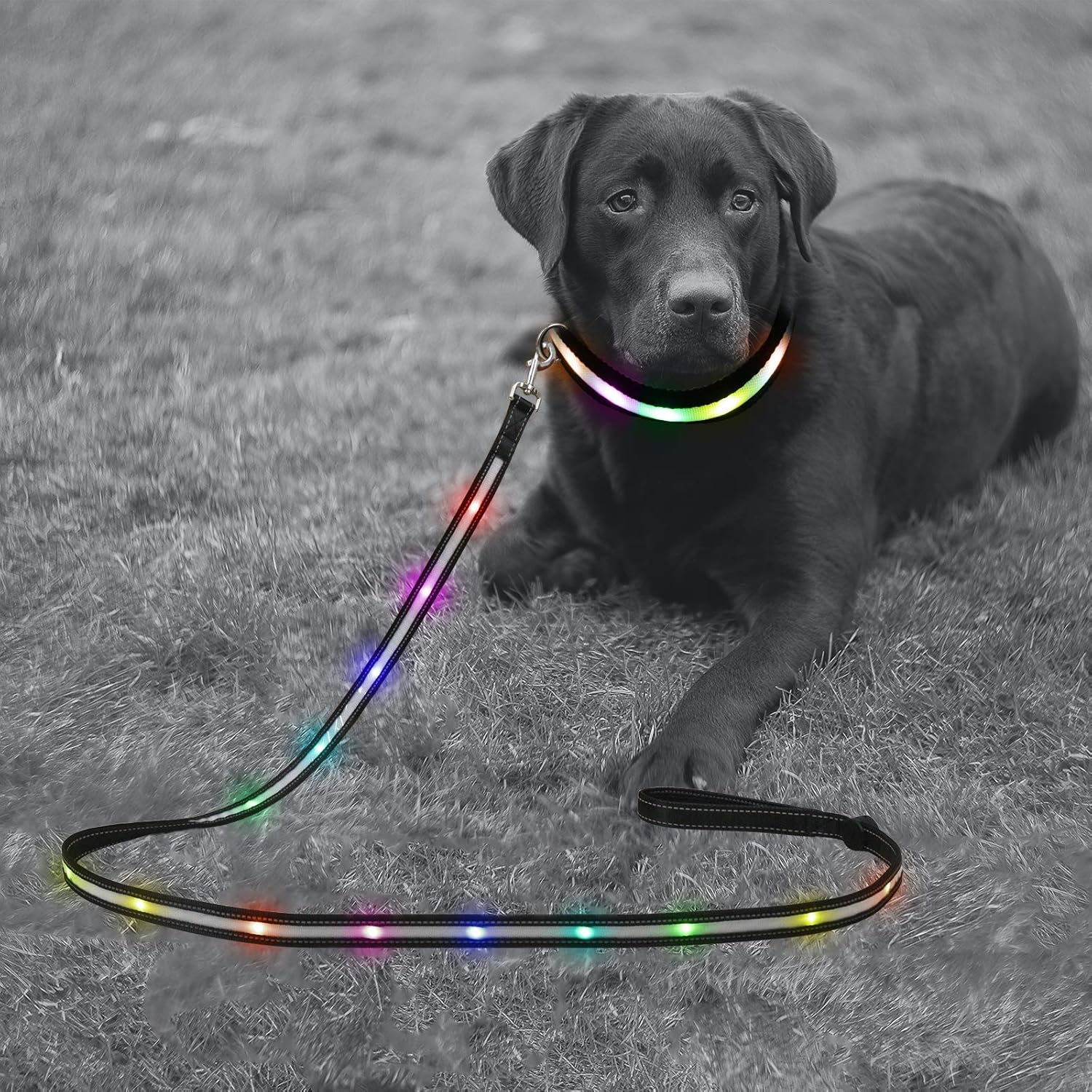 LED Dog Collar and Leash Set, 6FT USB Rechargeable 7 Color Changing, Medium (16.5"-20.5")