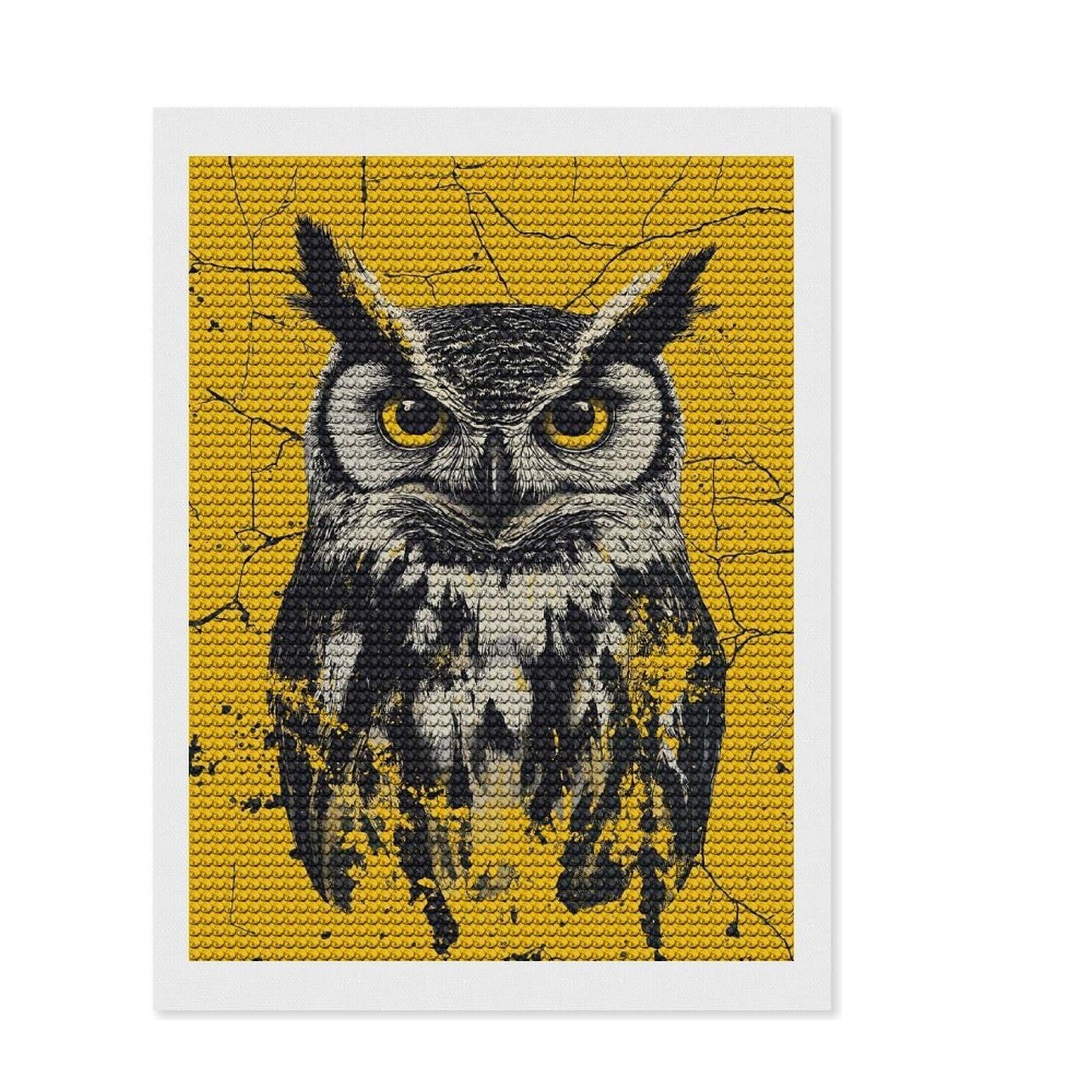 Junmoney Owl Diamond Painting Set 12"x16", for Adults, Nice Detail and Sparkle, Boho Decor, Birthday Gift, Easy to Enjoy