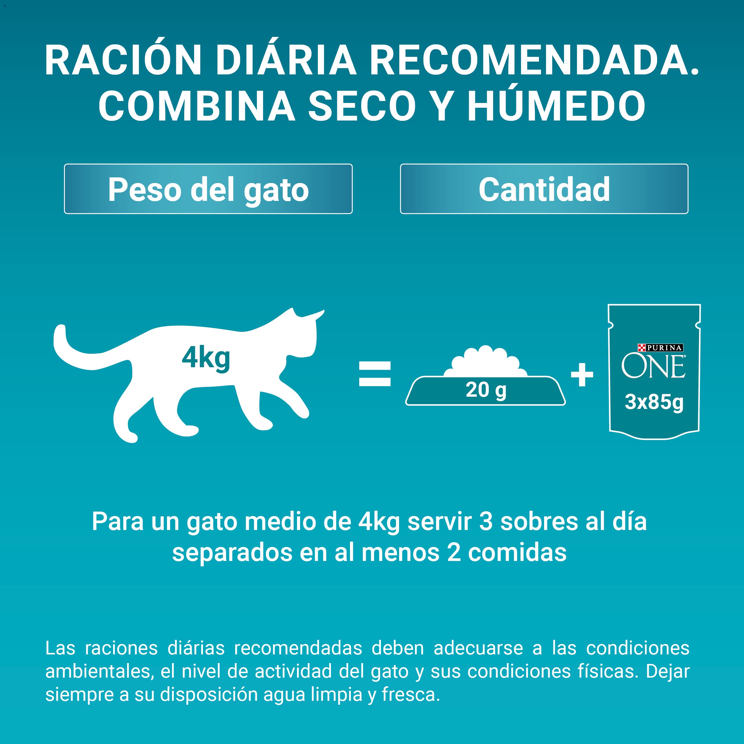 PURINA ONE Sterilcat, Comida Húmeda para Gato Esterilizado Adulto, Trocitos en Salsa, Surtido de Salmón y Pavo, 12 Packs de 4 Sobres de 85 g. (48 sobres)