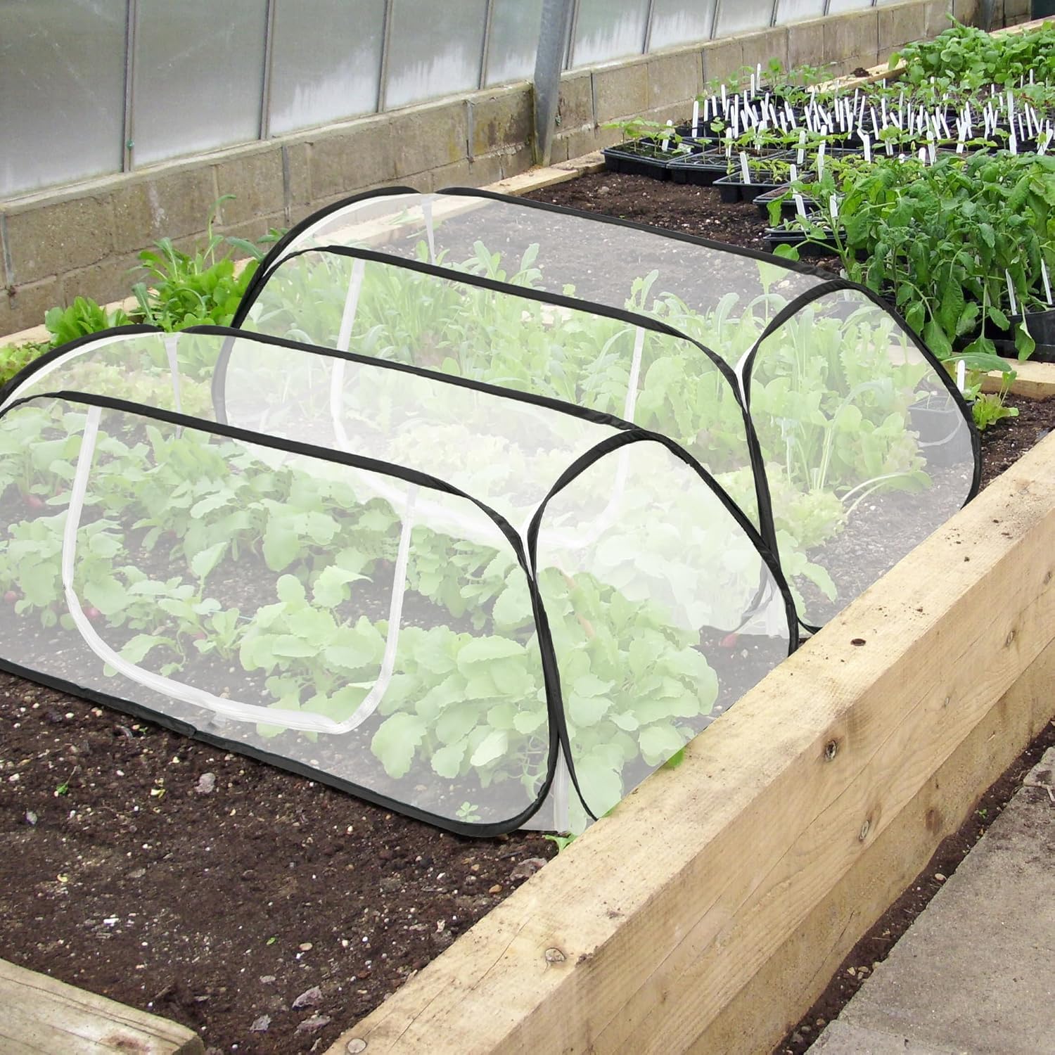 Filet de protection anti-insectes pour jardin 115 x 56 x 40 cm | Tente de jardin pour protéger les plantes, légumes, fruits contre les oiseaux et les insectes