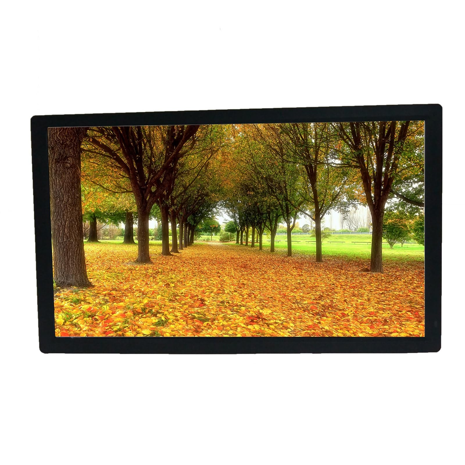Cornice Digitale Ad Alta Definizione da Parete, Schermo IPS da 22 Pollici, Supporta USB/SD, con Telecomando E Sensore di Movimento(Black)
